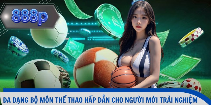 Đa dạng bộ môn thể thao hấp dẫn cho người mới trải nghiệm