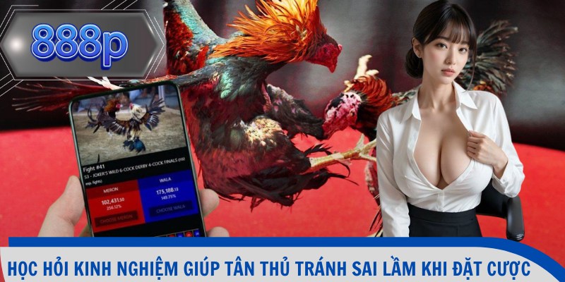 Học hỏi kinh nghiệm giúp tân thủ tránh sai lầm khi đặt cược